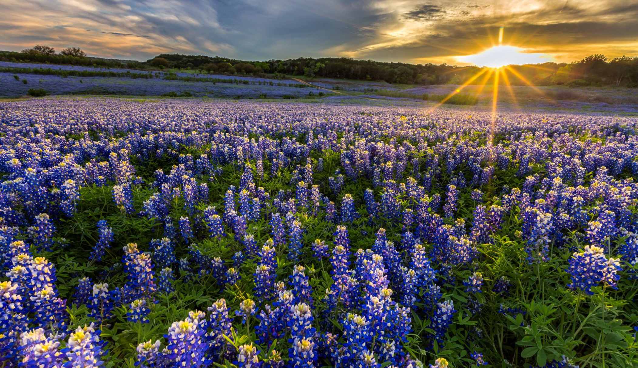 Liberty Hill, Texas